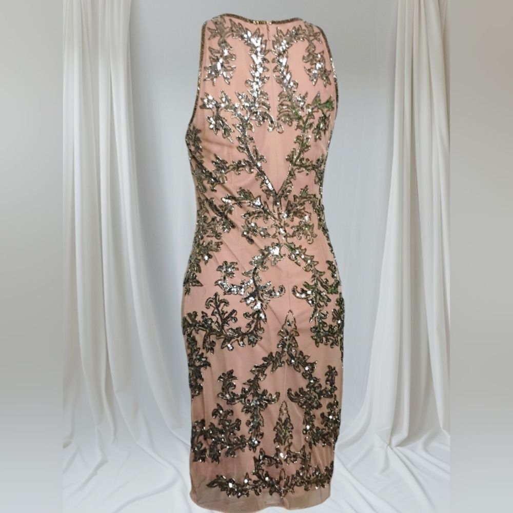 Adrianna Papell Embellished Chiffon Sheath Cocktail Dress Size 8 - Picture 9 of 16